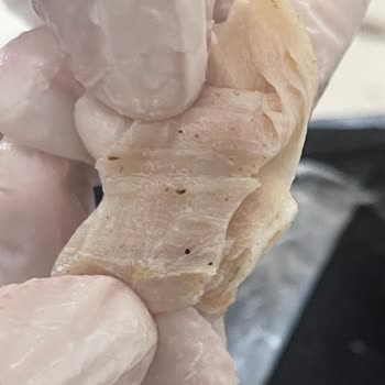 Akşeker Group Kokoreçte Temizlik Sorunu Ve Kötü Koku