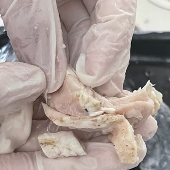 Akşeker Group Kokoreçte Temizlik Sorunu Ve Kötü Koku