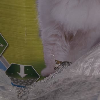 Hasarlı Ve Kullanılamaz Kedi Kumu Teslimatı Mağduriyeti