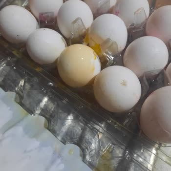 Kırık Ve Çatlak Yumurtalar İçin Eksik İade Mağduriyeti Yaşadım