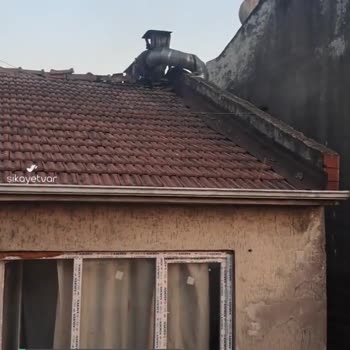Gürültüden Uyuyamıyoruz Fırının Havalandırması Çok Gürültü Yapıyor!