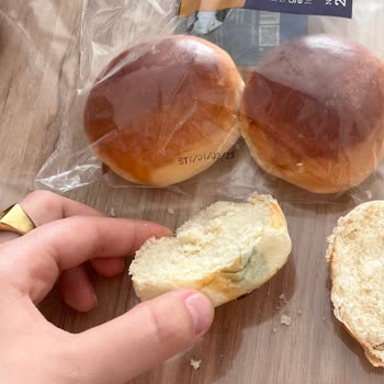 Son Kullanma Tarihi Geçmemiş Ekmek Bir Günde Küflendi, Sağlık Riski Oluştu