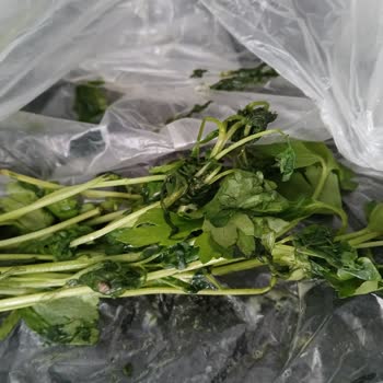 Buzdolabında Garanti Sonrası Yüksek Onarım Ücreti Mağduriyeti