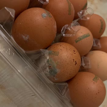 Küflü Ve Yanlış Adetli Yumurta Teslimatı, İlgisiz Müşteri Hizmeti