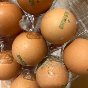 Küflü Ve Yanlış Adetli Yumurta Teslimatı, İlgisiz Müşteri Hizmeti