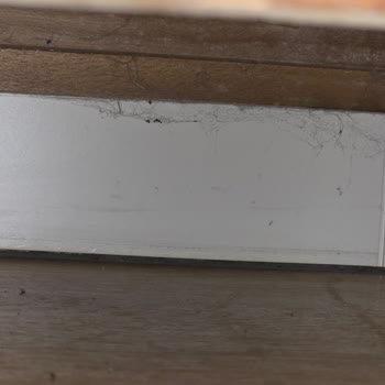 Beş Yıldızlı Otelde Karınca İstilası Ve Güvenlik Zafiyeti Yaşadık