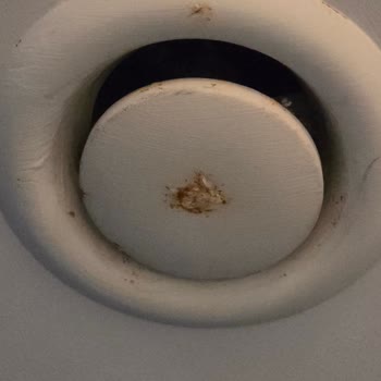 Beş Yıldızlı Otelde Karınca İstilası Ve Güvenlik Zafiyeti Yaşadık