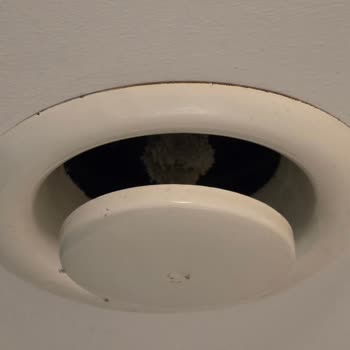 Beş Yıldızlı Otelde Karınca İstilası Ve Güvenlik Zafiyeti Yaşadık