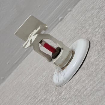 Beş Yıldızlı Otelde Karınca İstilası Ve Güvenlik Zafiyeti Yaşadık