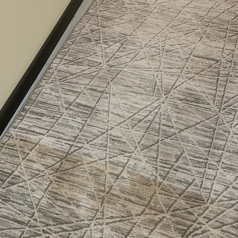 Brl Halı Yıkama | Çorlu Halılarım Lekeli Teslim Edildi!