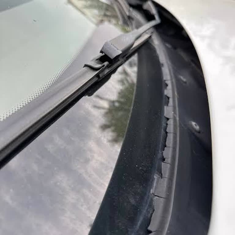 BMW F30 Ön Cam Fitilinin Erken Yıpranması Ve Ücretsiz Değişim Talebi