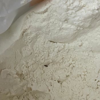Söke Un Paketinden Böcek Çıkması İnsan Sağlığını Tehdit Ediyor