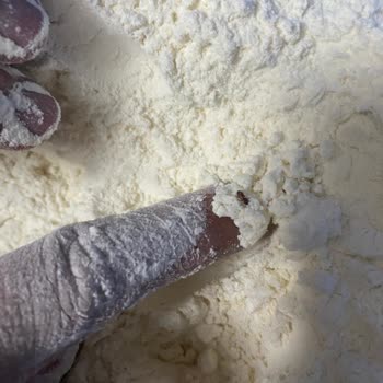 Söke Un Paketinden Böcek Çıkması İnsan Sağlığını Tehdit Ediyor