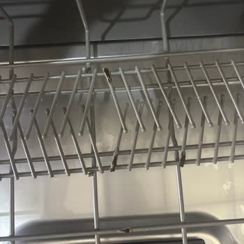 Bulaşık Makinesi Sepetlerinde Erken Paslanma Ve Yetersiz Servis Desteği