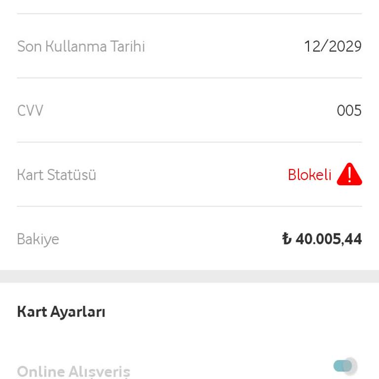 Sanal Kartıma Bloke Kondu, 40.000 TL Bakiyeme Ulaşamıyorum!