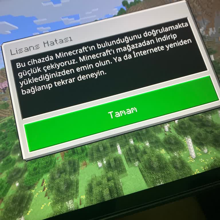 Satın Aldığım Minecraft Uygulamasında Lisans Hatası Ve İade Sorunu Yaşıyorum