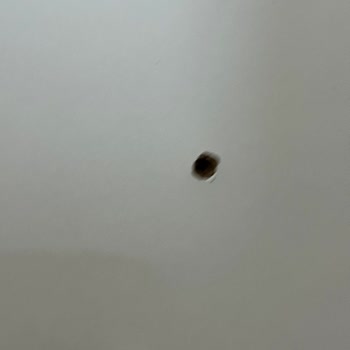 Furnitu Hemen Eksik Ve Yanlış Teslimat, Montaj Sorunlarıyla Mağduriyet Yaşadım