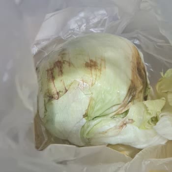 Migros Sanal Market’ten Eksik Hizmet Ve İlgisiz Müşteri Desteği Nedeniyle Yaşanan Mağduriyet