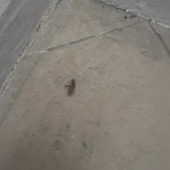 Tatil Sırasında İletişim Eksikliği Ve Mağduriyet Yaşadık