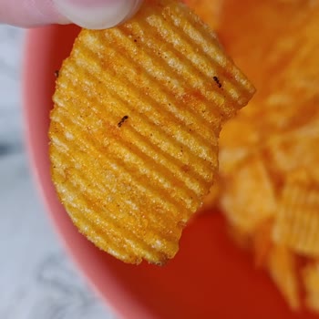 Cips Paketinde Karınca Ölüleriyle Karşılaştım!