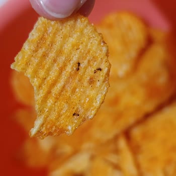 Cips Paketinde Karınca Ölüleriyle Karşılaştım!