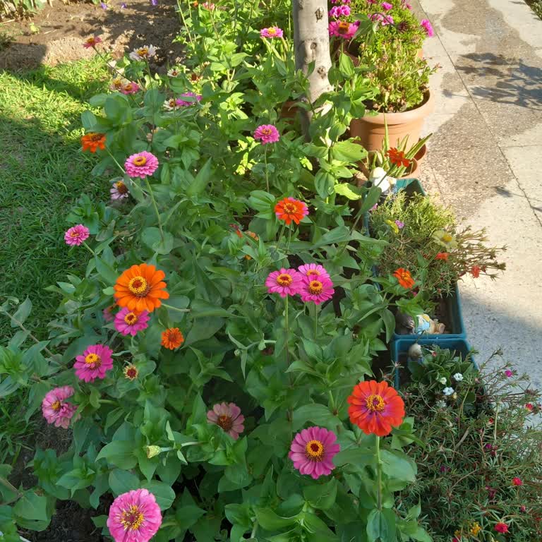 Erzin Körfez Sitesi'nde İhmal Edilen Kirlilik Ve Sinek Sorunu Sağlığımızı Tehdit Ediyor