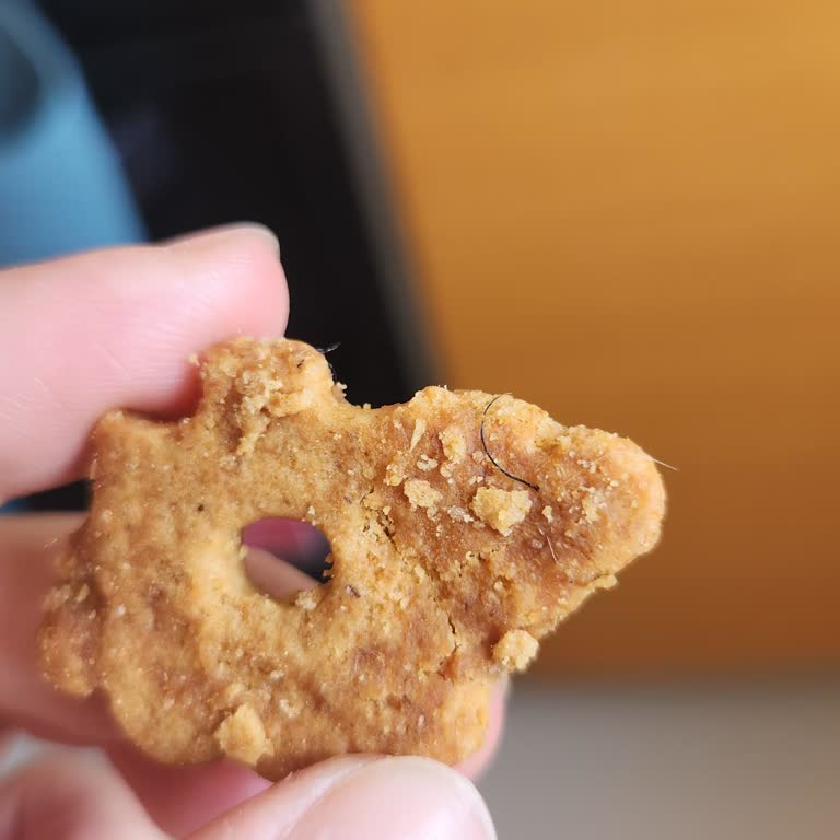 Humm Organic Tahin Pekmezli Bisküvide Hijyen Sorunu: Üründe Kıl Çıkması