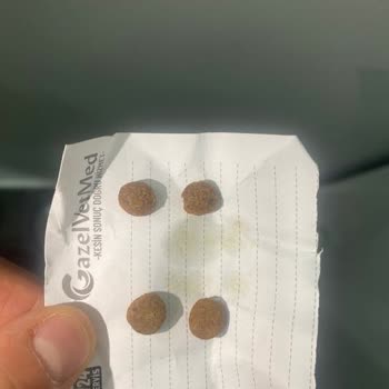 İdefix İdefix Mama Nedeniyle Kedim Hastalandı, Maddi Ve Manevi Zarar Gördüm!