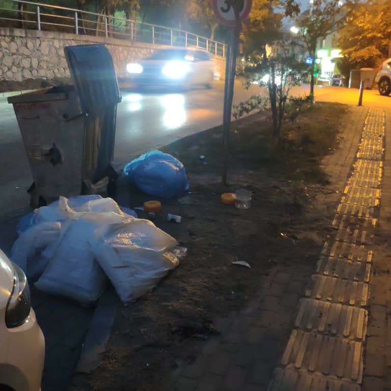 Eksik Çöp Konteyneri Ve Uygun Yer Talebi Acil Çözüm Bekliyor
