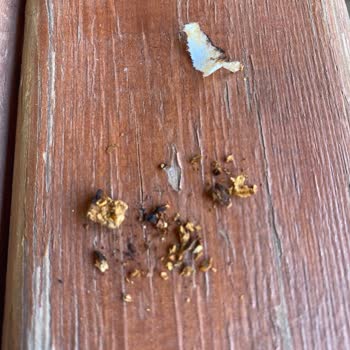 Davidoff Sigara Paketinde Tahta Parçası Çıkması Güvenimi Sarstı