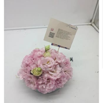 Siparişten Farklı Ve Eksik Çiçek, Çözüm Sunulmadı