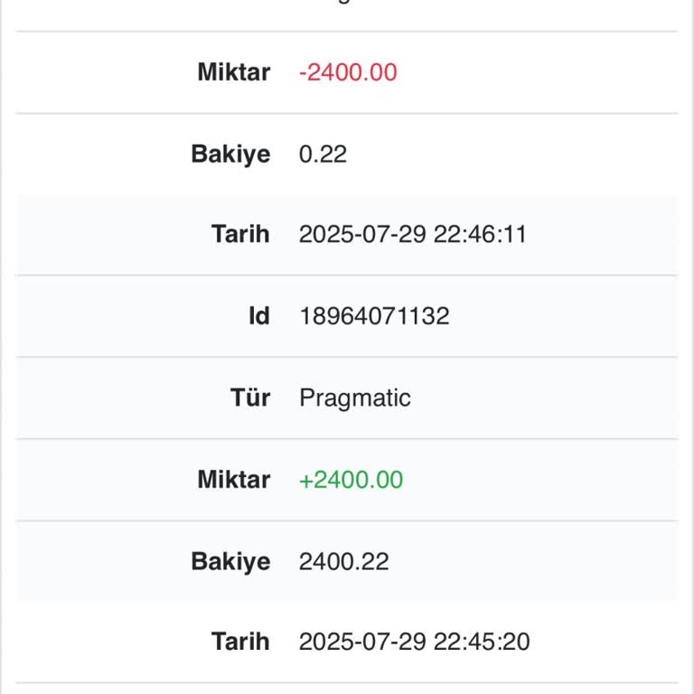 Onwin Hesabımdaki Bakiyemin Güvenlik Açığı Nedeniyle Kaybolması