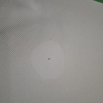 Leke Sihirbazı Ürünü Hem Lekeleri Çıkarmadı Hem De Kıyafetlerimi Bozdu