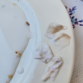 Eker Ayranında Son Kullanma Tarihi Geçmemiş Üründe Kaymak Tabakası Ve Renk Değişimi