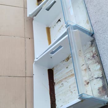 Sayaç Değişimi Sonrası 10 Gün Elektriksiz Kalan Evde Bozulmuş Gıdalar Ve Çıkmayan Koku