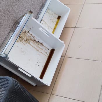 Sayaç Değişimi Sonrası 10 Gün Elektriksiz Kalan Evde Bozulmuş Gıdalar Ve Çıkmayan Koku