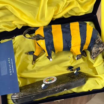 Kargoda Kırılan Ürün İçin Satıcı Olarak Mağdur Edildim