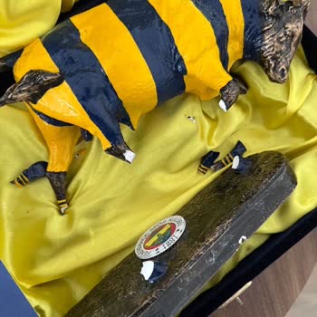 Kargoda Kırılan Ürün İçin Satıcı Olarak Mağdur Edildim