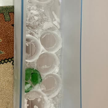 Bosch Buzdolabında Tekrarlayan Ana Kart Sorunu Ve Servis Desteği Eksikliği