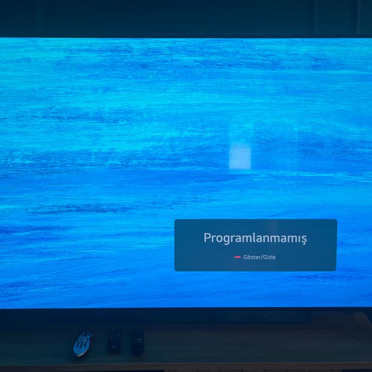 Yeni Alınan LG TV'de Kısa Sürede Panel Arızası Yaşadım