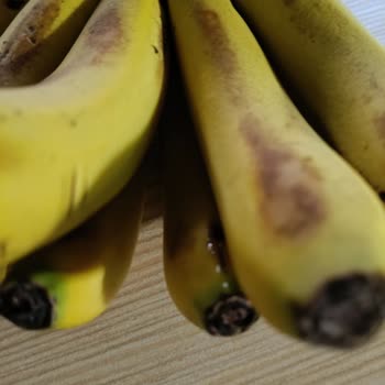 Çürük Ve Kötü Kokulu Ürünlere Yetersiz Destek