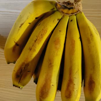 Çürük Ve Kötü Kokulu Ürünlere Yetersiz Destek