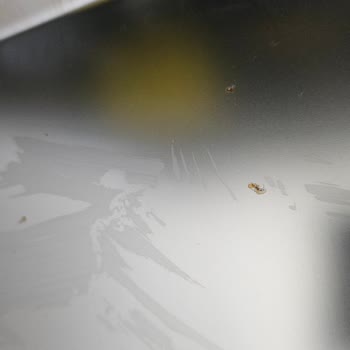 Bulaşık Makinesi Kapağındaki Pas Sorunu 1.5 Aydır Çözülmüyor