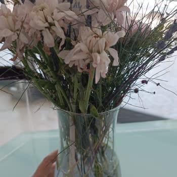 Çiçek Sepeti'nden Gelen Bayat Ve Solmuş Çiçekler Hayal Kırıklığı Yarattı