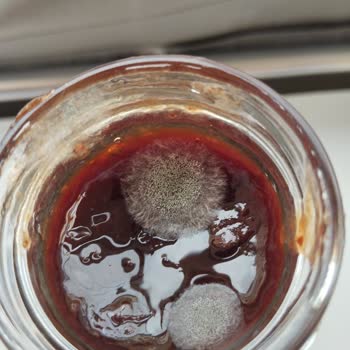 Aldığım Diyabet Reçeli Küflü Çıktı Mağduriyetimin Giderilmesini İstiyorum