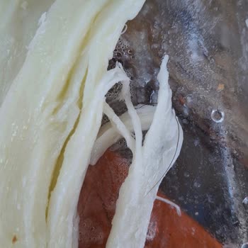 Satın Alınan Peynirden Saç Teli Çıkması Ve Para İadesi Talebi