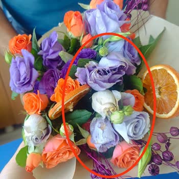 Soluk Ve Lekeli Çiçek Teslimatı Sonrası İade Talebim Reddedildi