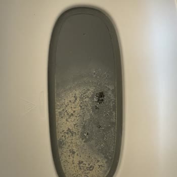 Philips Kısa Sürede Soyulan Steril Makinesi Ve Reddedilen Garanti