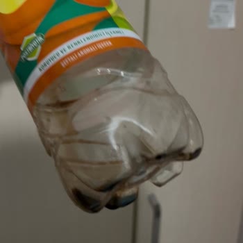 Kızılay Soğuk Çayda Tortu Ve Kötü Görüntüyle Karşılaştım