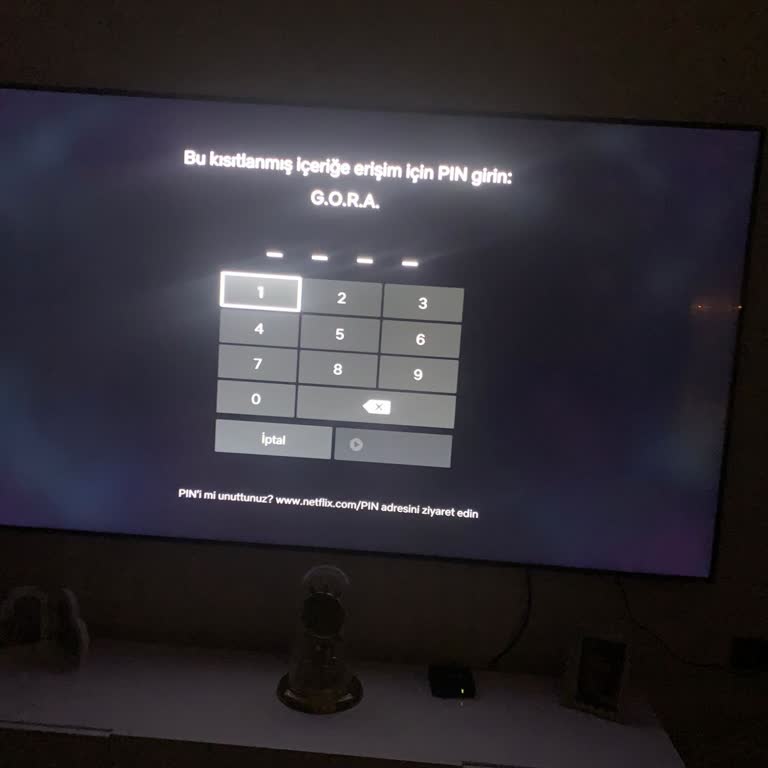 Yeni Alınan Televizyonda Renk Bozulması Ve Yetersiz Servis Desteği
